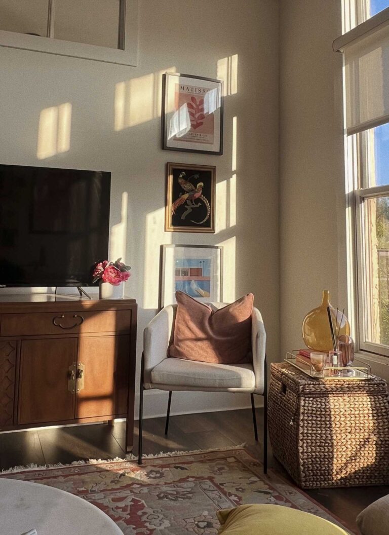 Amenities Pet Friendly Apartments Asheville NC The Avery